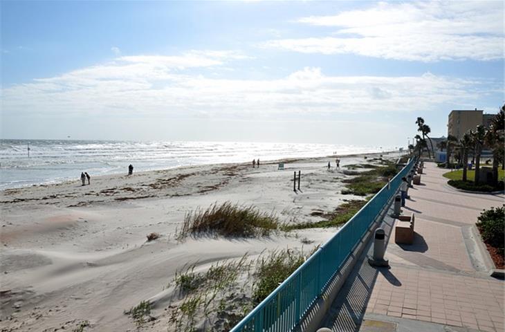daytona ln
