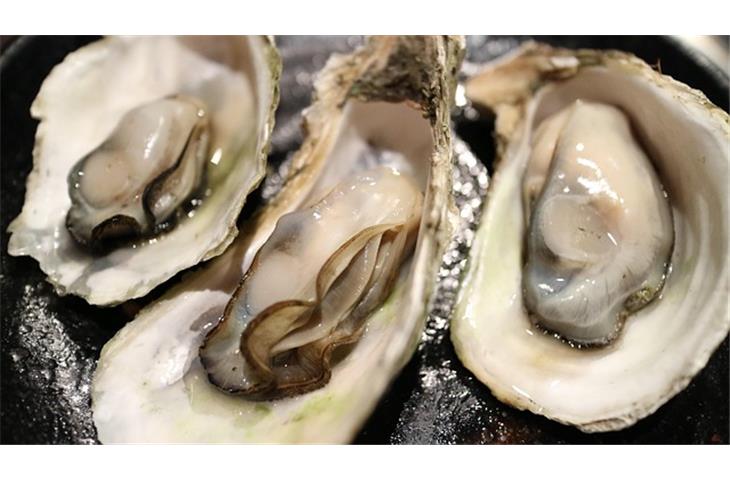 oyster perpetual gold and silver
