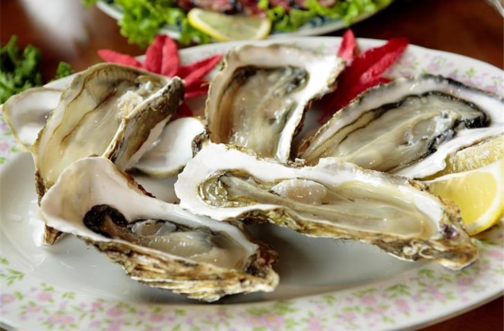 oyster flex