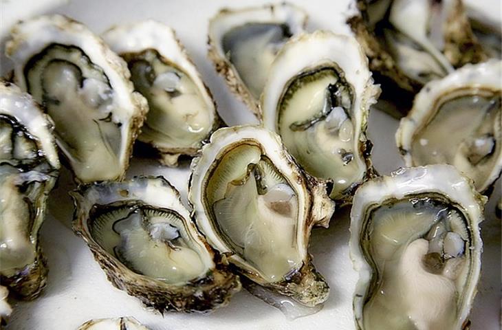 oyster date just